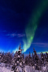 アラスカ　フェアバンクスのオーロラ