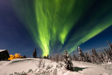 アラスカ　フェアバンクスのオーロラ