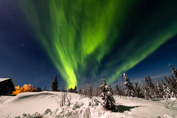 アラスカ　フェアバンクスのオーロラ