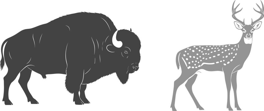 American bison and axis spotted deer silhouettes set, wild animal collection isolated on white background, buffalo and buck vector.