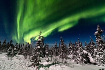 アラスカ　フェアバンクスのオーロラ