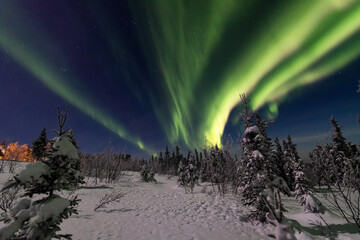 アラスカ　フェアバンクスのオーロラ