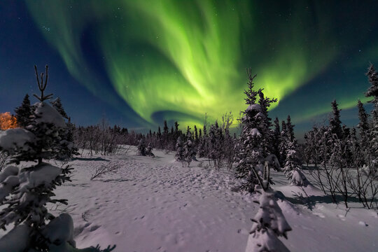 アラスカオーロラ」の写真素材 | 874件の無料イラスト画像 | Adobe Stock