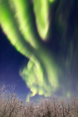 アラスカ　フェアバンクスのオーロラ