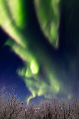 アラスカ　フェアバンクスのオーロラ