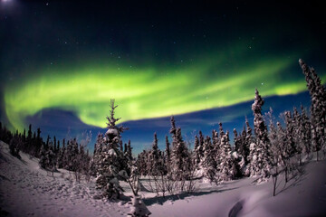 アラスカ　フェアバンクスのオーロラ