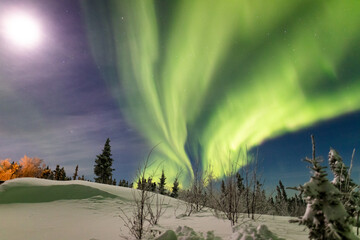 アラスカ　フェアバンクスのオーロラ