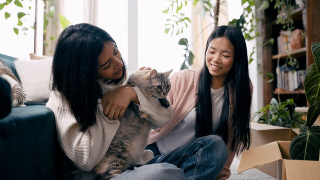 Young women bonding with their domestic cat while unpacking boxes, settling into a new home, enjoying togetherness and happiness