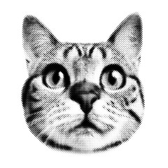 Black and white cat face illustration isolated on Transparent Background © Cybrart