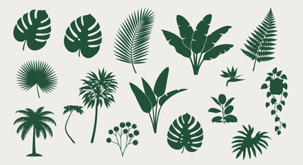 Collection of various tropical leaves and plants in dark green. © Abhinaya Project