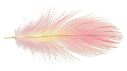 Isolated pink feather gently lying, fragile and lightweight, detailed texture, delicate and airy © Michal