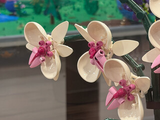 Naklejka premium Pink and white toy orchid made from construction bricks