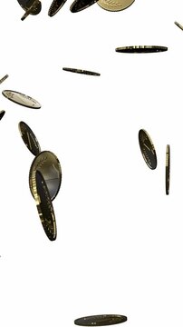 Many Golden Coins Falling Down - isolated on White Background - 3d 4k Vertical Animation (2160 x 3840px)
