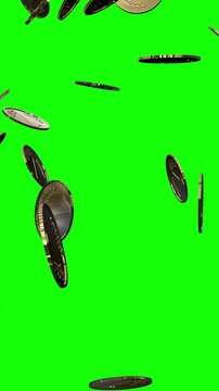 Many Golden Coins Falling Down - isolated on Green Background - 3d 4k Vertical Animation (2160 x 3840px)