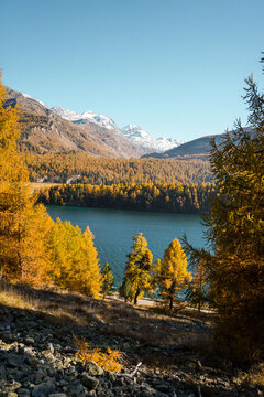 AUTUMN MOUNTAIN LANDSCAPE ENGADIN