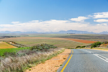 Naklejka premium Asphalt road in South Africa surrounded by fields