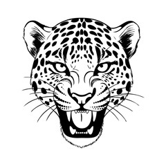 Dibujo sencillo con líneas de la cabeza de un leopardo enojado vista de frente  © teracreonte