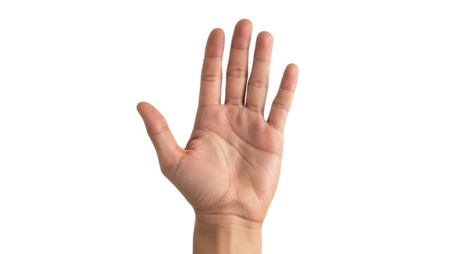 Isolated human hand showing five fingers, open palm, raised hand up in the air, arm extended