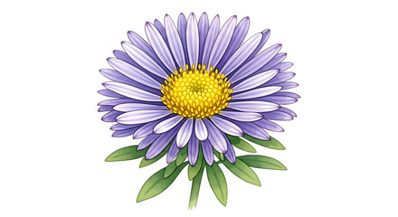 Fototapeta premium Delicate purple aster flower with yellow center and green leaves watercolor