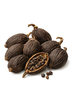 Black Cardamom
