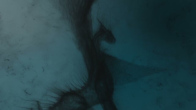 3d animation of a dragon flapping its wings, built from particles