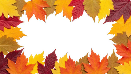 Fototapeta premium Autumn leaves frame isolated on transparent background