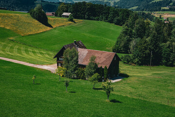 Rustic cabin nestled in rolling green hills. Sunlit path winds toward quiet countryside retreat. Wooden roof and weathered walls evoke timeless charm. Surrounded by trees, the scene feels peaceful