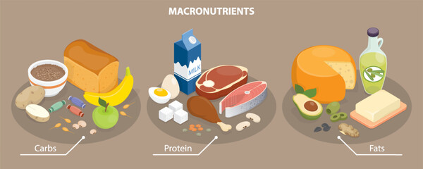 Fototapeta premium Macronutrients educational diet scheme with carbs, protein and fats outline. Food chart with product examples. 3d flat isometric vector illustration.