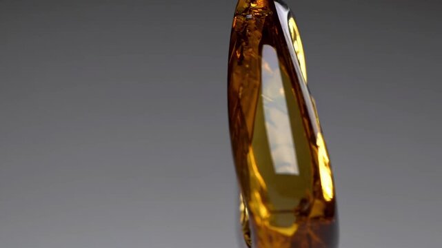 Precious Insect Trapped Within Amber Sphere. Fossilized Insect View Showing Intricate Wing Structures. Detailed Closeup Of Ancient Fly Preserved Carefully Inside Amber With Shimmering Surface