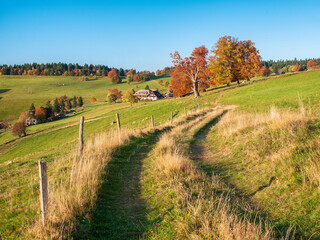 Wanderweg Durch Typische Offene Landschaft