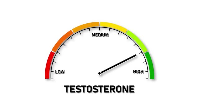Testosterone Level Meter Showing High Reading on White Background gauge dial