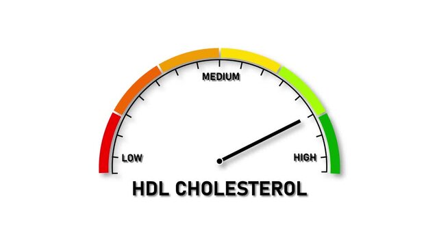HDL Cholesterol Level Meter Showing High Reading on White Background gauge HDL cholesterol