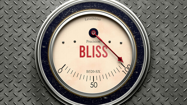 Bliss that is hitting a full scale, showing a very high level of bliss, overload of it, too much of it. Maximum value, off the charts.  ,3d illustration
