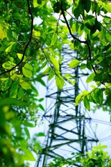Fototapeta premium Lush green leaves frame a tall power line tower. Foliage softly blurs the background. Structure stands against clear blue sky. Nature and infrastructure intersect gracefully