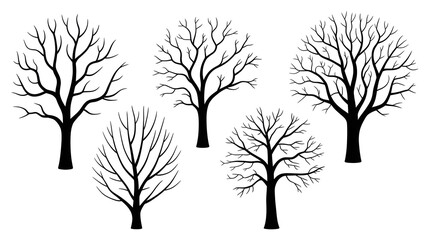 Obraz premium A group of bare trees silhouetted against a white background