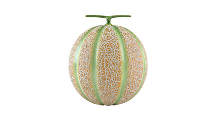 Cantaloupe Melon