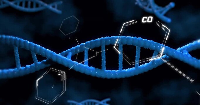 Animation of scientific data processing over dna strands spinning