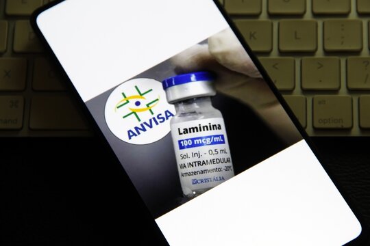 laminina - Glicoprote&iacute;na estrutural da matriz extracelular, essencial para a forma&ccedil;&atilde;o, ades&atilde;o e estabiliza&ccedil;&atilde;o de c&eacute;lulas e tecidos, funcionando como uma "cola biol&oacute;gica" nas membranas basais.