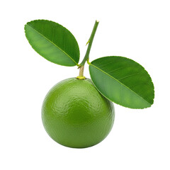 Green lime with leaves on transparent background