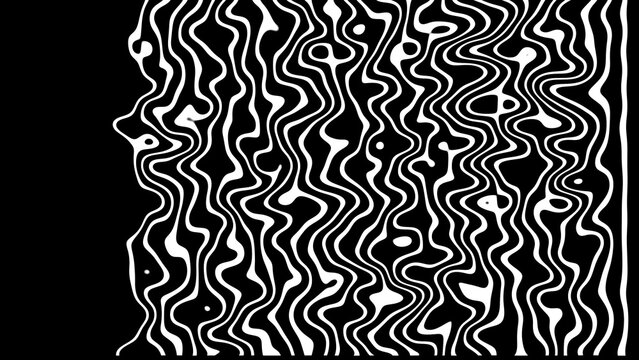 Kinetic Shape 82 &ndash; Animated Geometric Elements, Abstract Motion Design Pack, Modern Dynamic Shapes for Presentation and Social Media Content