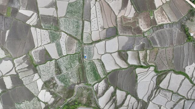 Aerial view of patchwork rice paddies reflecting the sky near Kyichu Lhakhang, creating a mosaic of light and shadow, Paro, Bhutan.