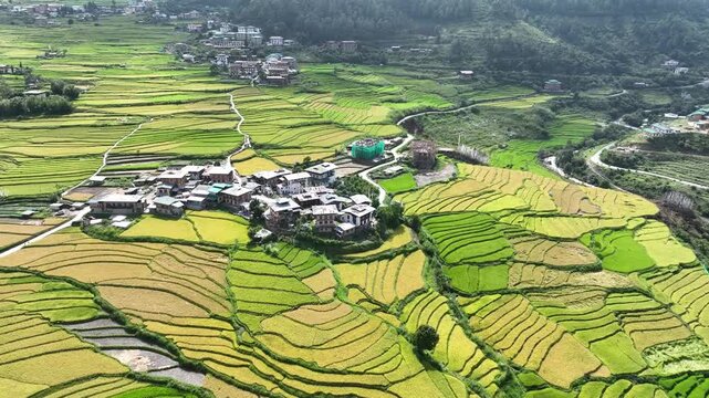 Aerial view of vibrant green and golden rice terraces interspersed with traditional buildings and winding roads, creating a picturesque landscape, Teoprongchu, Punakha, Bhutan.