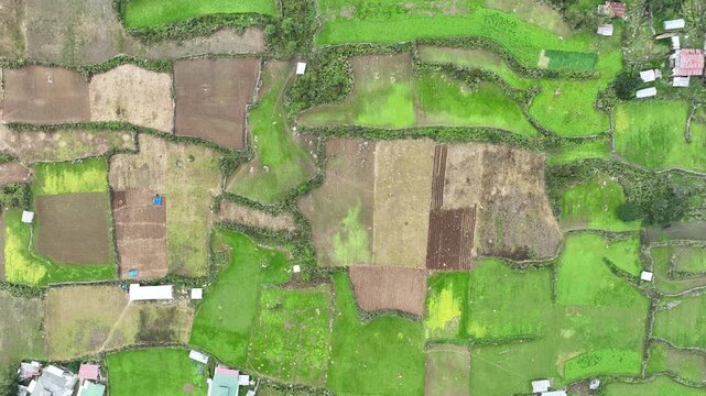 Aerial view of the Phobjikha Valley with its patchwork fields displaying vibrant green and brown hues, creating a stunning agricultural tapestry, Wangdue Phodrang, Bhutan.