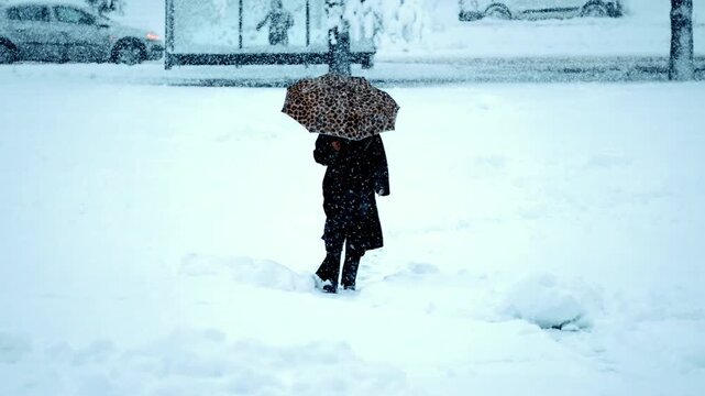 Woman walking with umbrella during heavy snowfall in winter city landscape