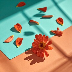 70年代レトロ美広告 花びら落下とテラコッタ背景シネマ動画

ターコイズ台&times;暖色光 コーラル花びらスローモーション映像

レトロビューティーCM向け 花びら回転と陰影演出ストック動画

ミニマル構図と余白 テラコッタ壁のシネマティック映像素材