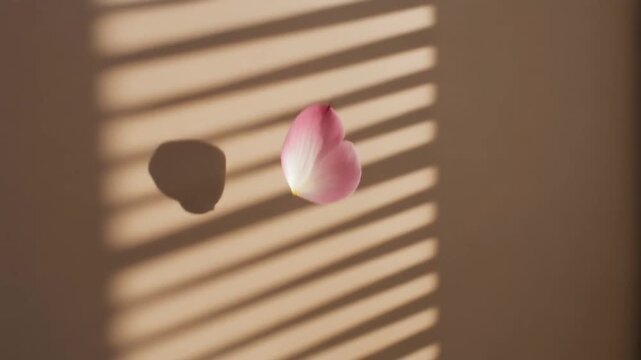 マットなベージュの壁に朝日のブラインド影が水平ラインを描くシネマ映像。
柔らかなピンクの花びらが光の筋をゆっくり漂い、1枚が優雅に回転しながら降下。
強いコントラストの陰影と浅い被写界深度が上質な美容ムードを演出。
広いサイド余白で広告、化粧品CM、ブランドビジュアルに最適な5秒素材。