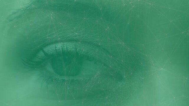 Animation of network of connections over eye