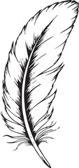 Obraz premium Detailed Ink Hand-Drawn Bird Feather