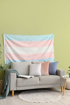 Sofa with cushions, magazine and hanging transgender flag on green wall in living room