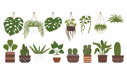 Variety of potted and hanging houseplants in a botanical illustration © Etika